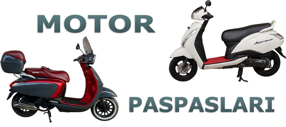 MOTOR PASPASLARI